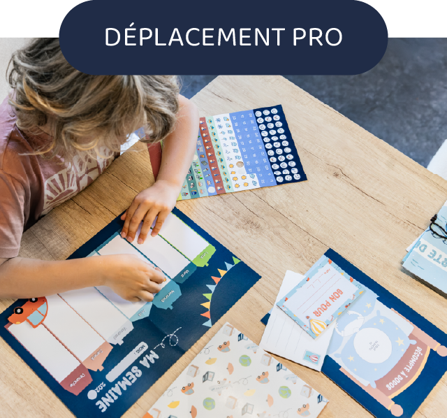 Déplacement pro